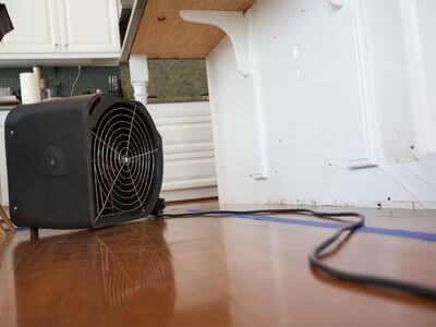 Professional mold remediation services in Novi